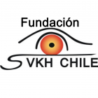Fundación SVKH y Uveítis Chile